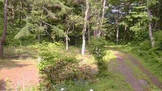 長野県菅平高原 ゆたか山荘 坂上 2026/06/16 14:45