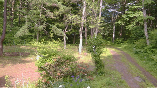 長野県菅平高原 ゆたか山荘 坂上 2026/06/16 15:00