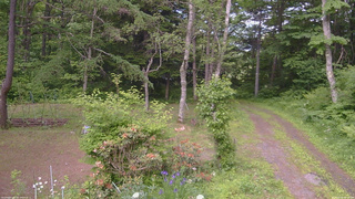 長野県菅平高原 ゆたか山荘 坂上 2026/06/16 15:30