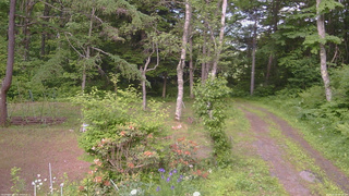 長野県菅平高原 ゆたか山荘 坂上 2026/06/16 15:45