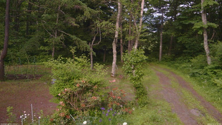 長野県菅平高原 ゆたか山荘 坂上 2026/06/16 17:00