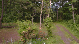 長野県菅平高原 ゆたか山荘 坂上 2026/06/16 17:15