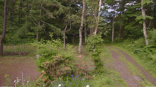 長野県菅平高原 ゆたか山荘 坂上 2026/06/16 17:30