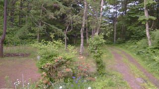 長野県菅平高原 ゆたか山荘 坂上 2026/06/16 18:30
