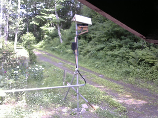 長野県菅平高原 ゆたか山荘 南側 2026/06/17 14:30