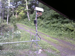 長野県菅平高原 ゆたか山荘 南側 2026/06/17 17:45
