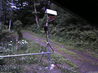 長野県菅平高原 ゆたか山荘 南側 2026/06/17 19:15