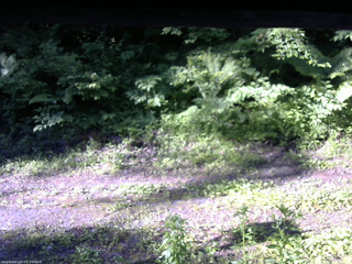 長野県菅平高原 ゆたか山荘 東側(坂下) 2026/06/17 06:30