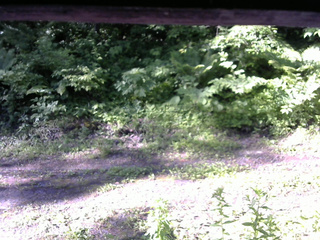 長野県菅平高原 ゆたか山荘 東側(坂下) 2026/06/17 07:00