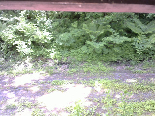 長野県菅平高原 ゆたか山荘 東側(坂下) 2026/06/17 11:00