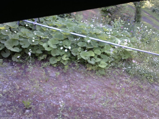 長野県菅平高原 ゆたか山荘 駐車場 2026/06/17 05:45