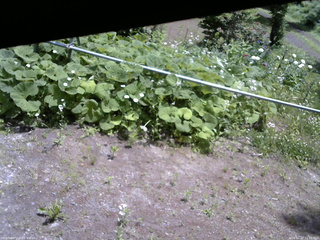 長野県菅平高原 ゆたか山荘 駐車場 2026/06/17 11:15