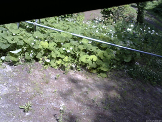 長野県菅平高原 ゆたか山荘 駐車場 2026/06/17 13:15
