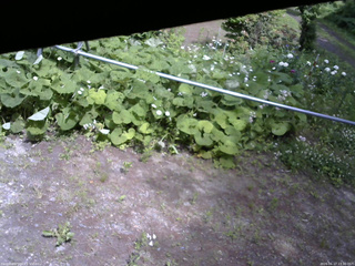 長野県菅平高原 ゆたか山荘 駐車場 2026/06/17 13:30