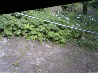 長野県菅平高原 ゆたか山荘 駐車場 2026/06/17 13:45