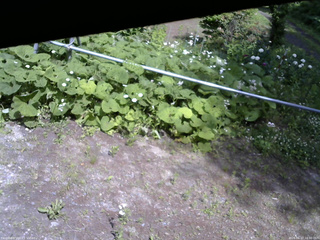 長野県菅平高原 ゆたか山荘 駐車場 2026/06/17 14:00