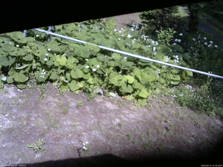 長野県菅平高原 ゆたか山荘 駐車場 2026/06/17 14:30