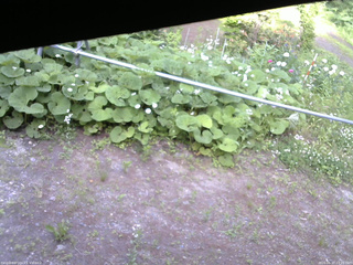 長野県菅平高原 ゆたか山荘 駐車場 2026/06/17 17:15