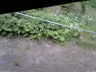 長野県菅平高原 ゆたか山荘 駐車場 2026/06/17 18:15