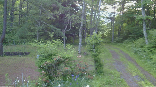 長野県菅平高原 ゆたか山荘 坂上 2026/06/17 05:00