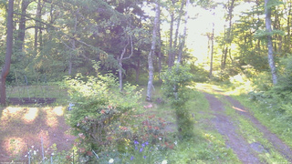 長野県菅平高原 ゆたか山荘 坂上 2026/06/17 05:45