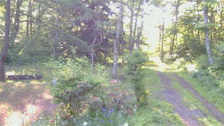 長野県菅平高原 ゆたか山荘 坂上 2026/06/17 06:00