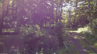 長野県菅平高原 ゆたか山荘 坂上 2026/06/17 07:00