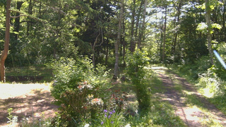 長野県菅平高原 ゆたか山荘 坂上 2026/06/17 08:30