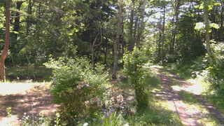 長野県菅平高原 ゆたか山荘 坂上 2026/06/17 08:45