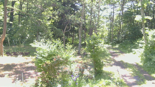 長野県菅平高原 ゆたか山荘 坂上 2026/06/17 09:00