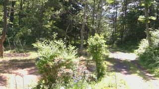 長野県菅平高原 ゆたか山荘 坂上 2026/06/17 09:45