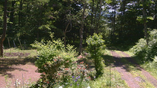 長野県菅平高原 ゆたか山荘 坂上 2026/06/17 10:15