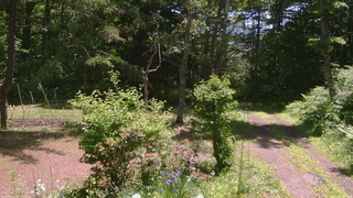 長野県菅平高原 ゆたか山荘 坂上 2026/06/17 10:45