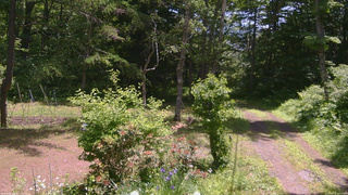 長野県菅平高原 ゆたか山荘 坂上 2026/06/17 11:00