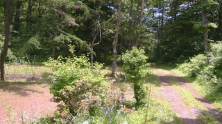 長野県菅平高原 ゆたか山荘 坂上 2026/06/17 11:15