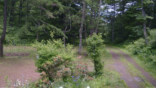 長野県菅平高原 ゆたか山荘 坂上 2026/06/17 11:30