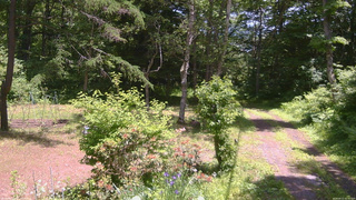 長野県菅平高原 ゆたか山荘 坂上 2026/06/17 11:45