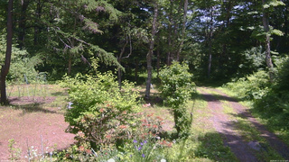 長野県菅平高原 ゆたか山荘 坂上 2026/06/17 12:15