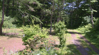 長野県菅平高原 ゆたか山荘 坂上 2026/06/17 12:30