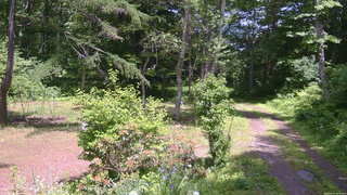 長野県菅平高原 ゆたか山荘 坂上 2026/06/17 12:45