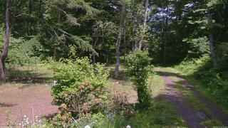 長野県菅平高原 ゆたか山荘 坂上 2026/06/17 13:15