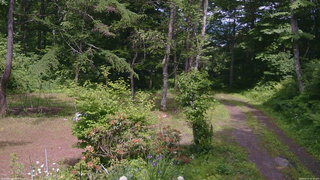 長野県菅平高原 ゆたか山荘 坂上 2026/06/17 13:30