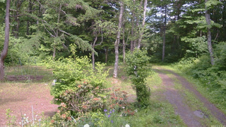 長野県菅平高原 ゆたか山荘 坂上 2026/06/17 13:45