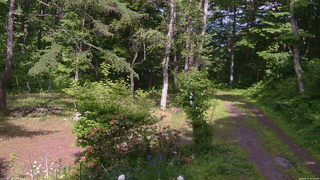 長野県菅平高原 ゆたか山荘 坂上 2026/06/17 14:30