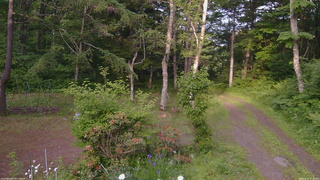 長野県菅平高原 ゆたか山荘 坂上 2026/06/17 17:30