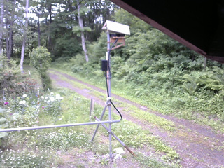 長野県菅平高原 ゆたか山荘 南側 2026/06/18 12:00