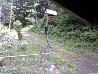 長野県菅平高原 ゆたか山荘 南側 2026/06/18 13:45