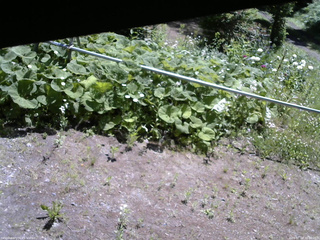 長野県菅平高原 ゆたか山荘 駐車場 2026/06/18 10:00