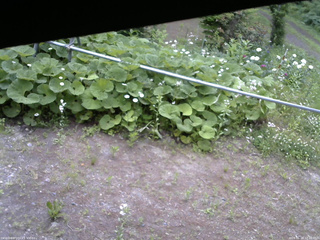長野県菅平高原 ゆたか山荘 駐車場 2026/06/18 12:15