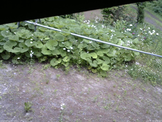 長野県菅平高原 ゆたか山荘 駐車場 2026/06/18 12:45